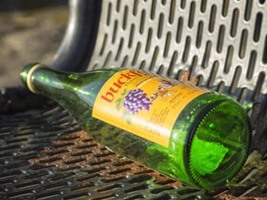 empty bottle of buckfact on park bench